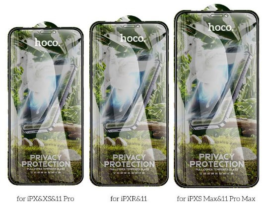 Защитное стекло для ApL iph 12 12 Pro HOCO G11 Антишпион черный